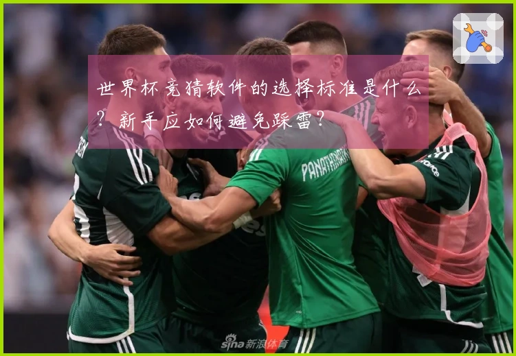 世界杯竞猜软件的选择标准是什么？新手应如何避免踩雷？
